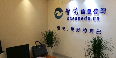 智梵信息咨询